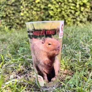 Plastový pohár  - Capybara